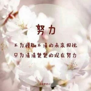 柳暗花明