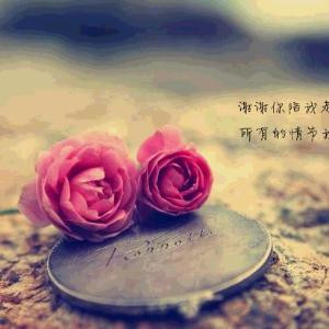 小果糖宝