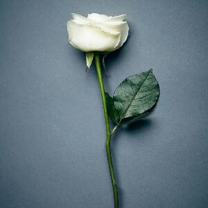 读书是我的最爱