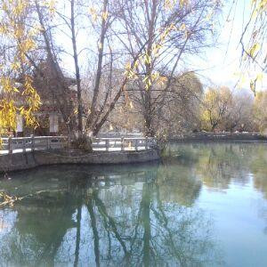 江湖野马在江湖