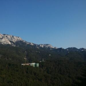 飞翔的彼得潘