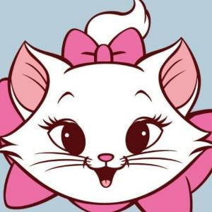 猫大人