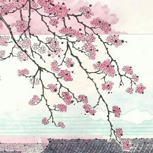 野马难驯服