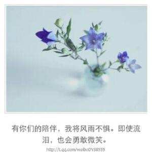 不渝