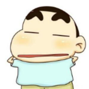 李夫人i