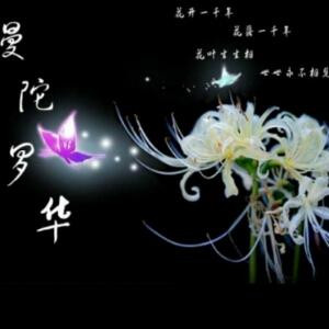 寒心心如冰