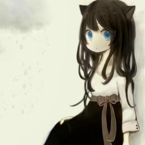 梦里花落知多少