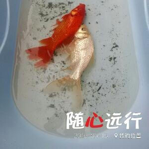 卫しov妳守侯