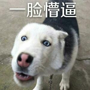 暗夜独行