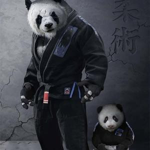 宁愿二丶不愿装