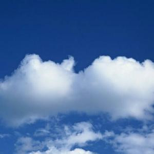 Albert听雨