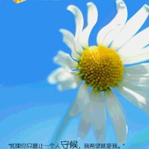 陌生人