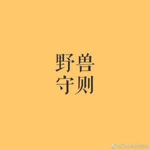 袁某某