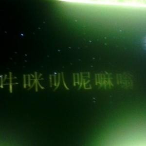 春哥