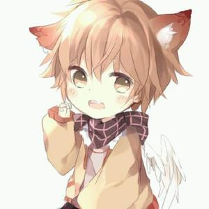森林味的曲奇