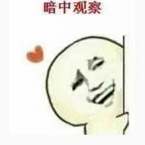 核桃树上