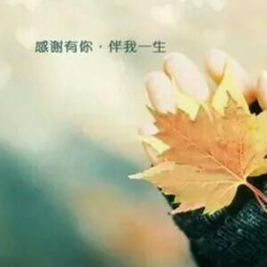 风中的承诺