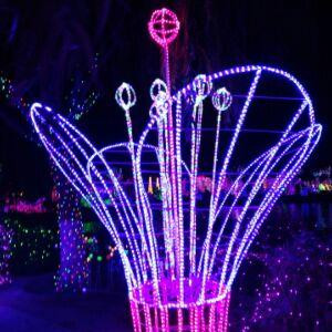 白梅花