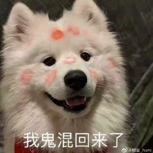 困困之兽