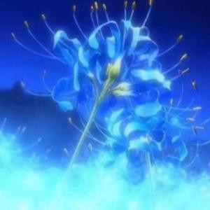 奈何桥上彼岸花
