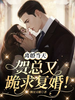 离婚当天,贺总又跪求复婚!