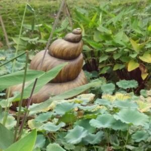 情意蒙蒙