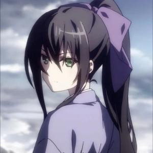 鲨鱼哟