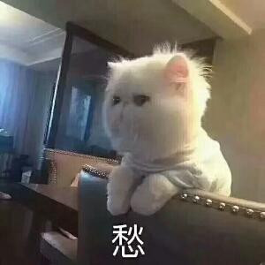 放松夫妇v哈