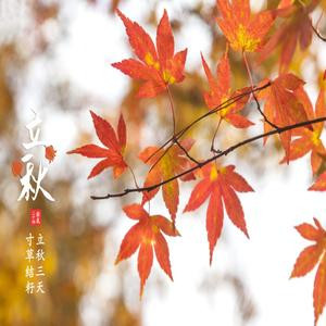 如果我坦白说