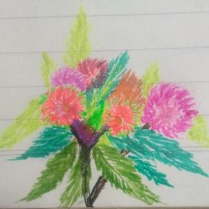爱书者