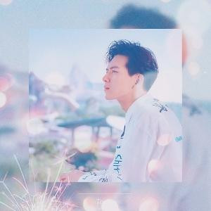 看浮光初槿花落