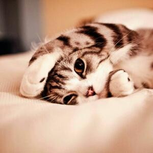 ♡o。.(✿ฺ。✿ฺ)竹