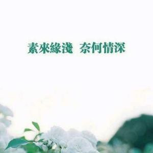 书颠