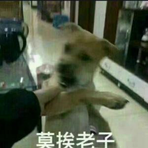 没错是祈忆
