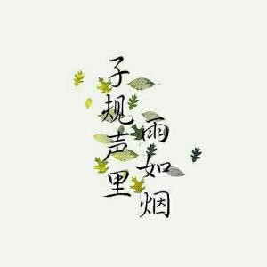 霓裳挽歌倾城醉