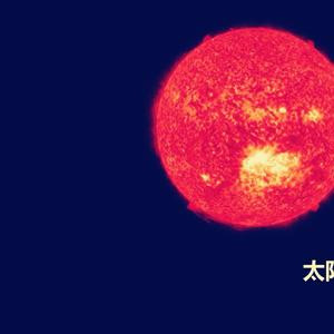 涤生