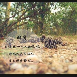 醉闻风戏雨