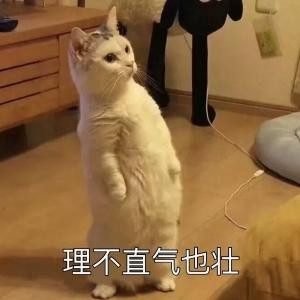 雪祁木