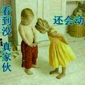 智多鼠