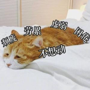 笑风尘