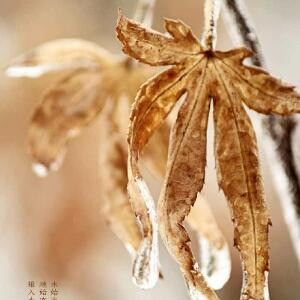 ∣猜不透∣的∣