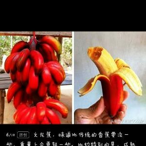 说说看