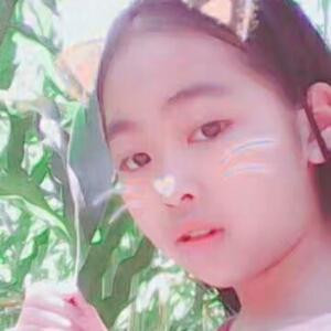 冰冰芯月