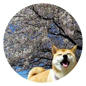 粉鸭子