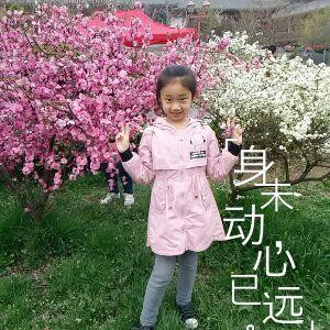 忘忧草