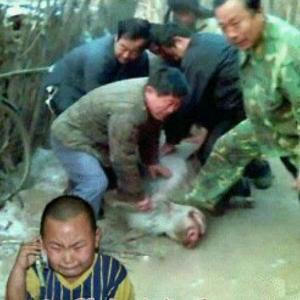 自由人