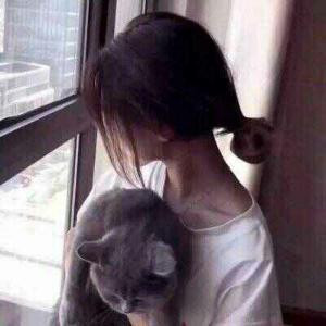 芊悦