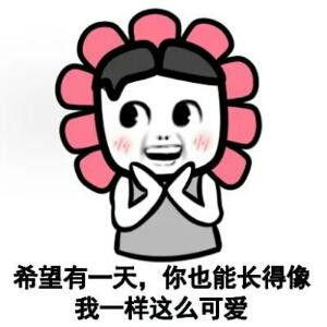 木木