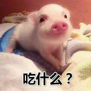 钱多多
