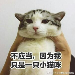 喵喵